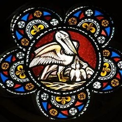 Hibiskus ; İçimdeki Gizli Sen