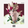 Machine Gun Kelly - Trap Paris ft. Quavo, Ty Dolla $ign, The Eurotrip! (Remix)