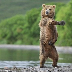 New Funk Remix (TPA)