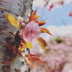 Graves & Boombox Cartel x Enschway & Sumthin Sumthin - I'll wait for hilo