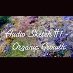 Sketch #1 - Organic Growth