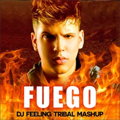 Alok vs Mallover - FUEGO (Dj Feeling Tribal Mashup)