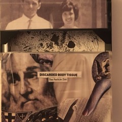 Discarded Body Tissue (a pseudo-surrealist mixtape of bedroom and post-bedroom emo)