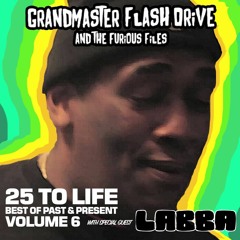 25 To Life Series - Volume 6 (Best Of/Past & Present)