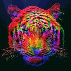 Crazy (prod. Richie Beatz)