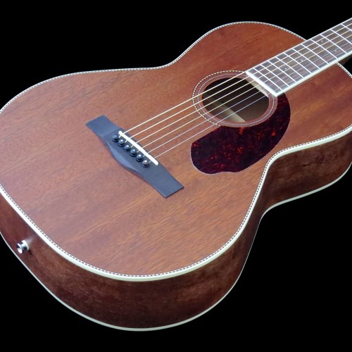 Fender 2024 paramount pm