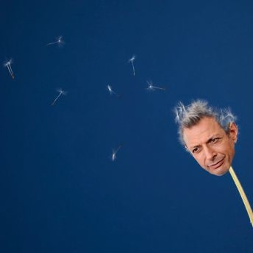 Dear Jeff Goldblum