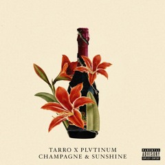 Tarro & PLVTINUM Champagne & Sunshine (Ellusive Remix)