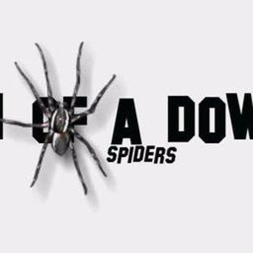 System of a Down - Spiders Lyrics 