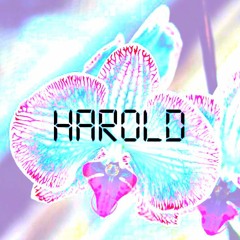 Harold - Orchid Collector