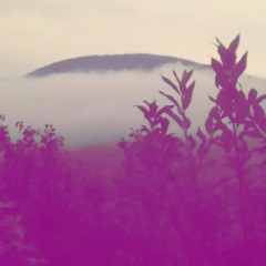 Arizona Dream-in the death car (AMD REMIX)