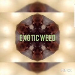 EXOTIC WEED