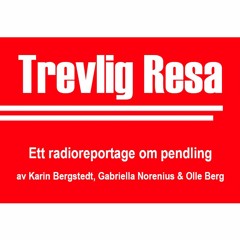 Trevlig Resa