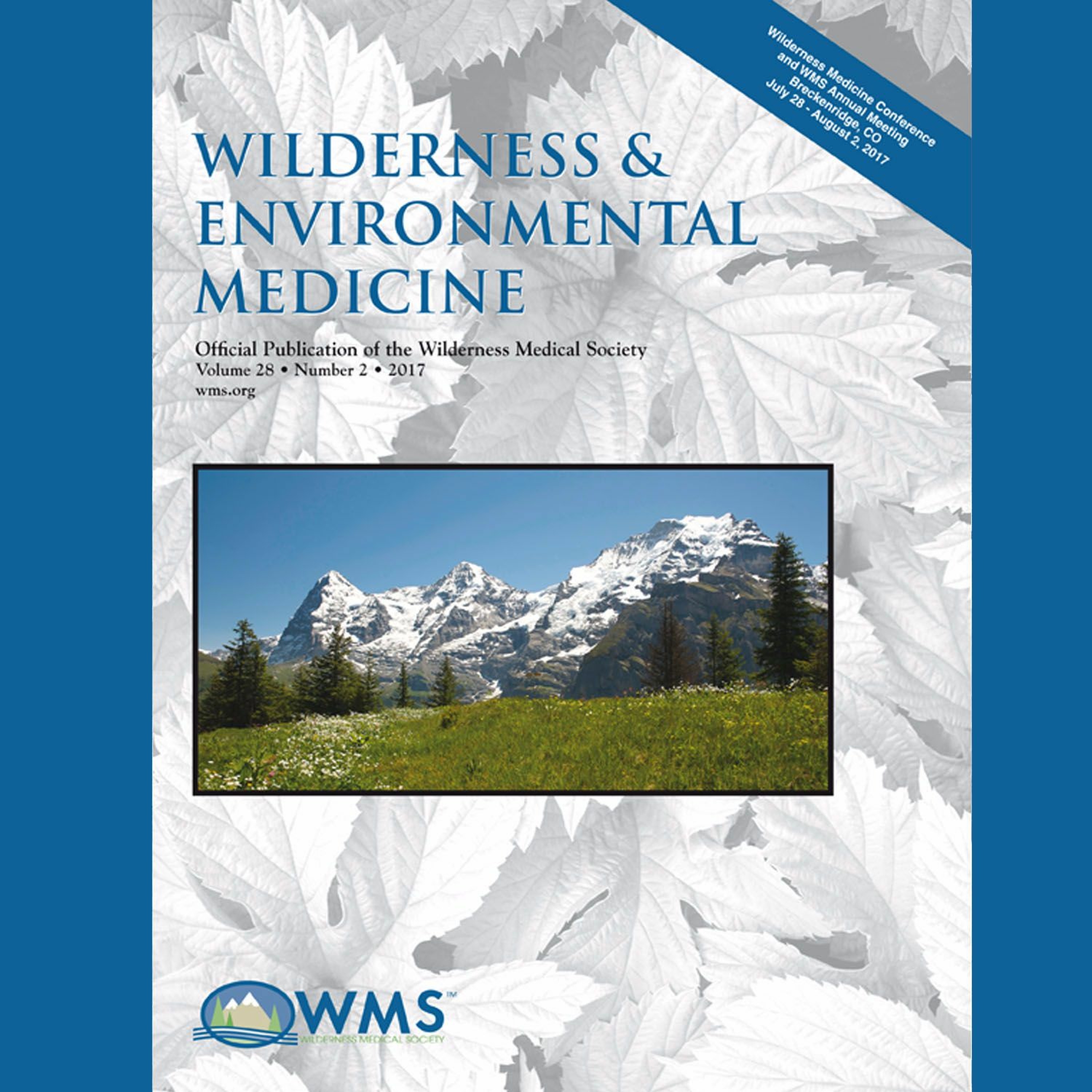 Wilderness Medicine Podcast