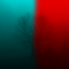Damaskin - Rosve (Scarpa Rework)