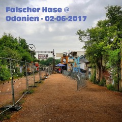 Falscher Hase at Odonien - 02-06-2017