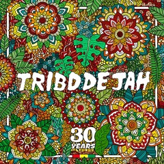 Na Margem Do Jaguaribe