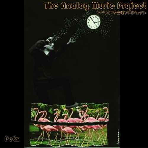 Petz (Live at the Flying House)