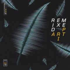 QZB (feat. MC Resc) - Initiate (DBR UK Remix)