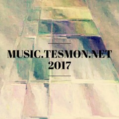 Track 011 2017 TesmonNet