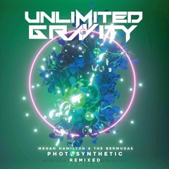 Megan Hamilton & The Bermudas - Siddhartha (Unlimited Gravity Remix)