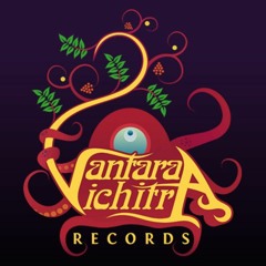 In Focus – VANTARA VICHITRA RECORDS | Interview with Vikram & Vineeth | 03/06/2017
