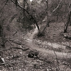 WHATS A GOD TO A NON-BELIEVER?