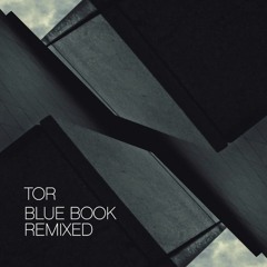 Tor - Aura Lore (9 Theory Remix)