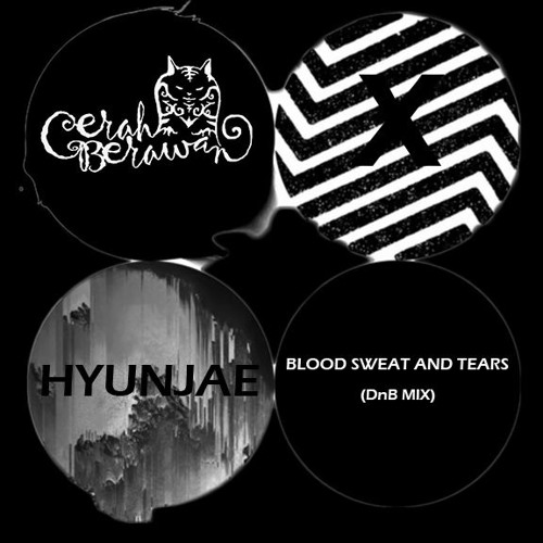 BTS - Blood Sweat and Tears (DnB Mix) Ft Hyunjae