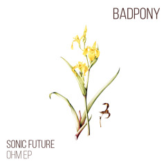 PREMIERE: Sonic Future - Itinerant (Original Mix) [Bad Pony]