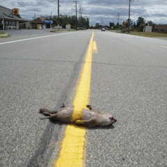 Thicke Blurred Yellow Lines