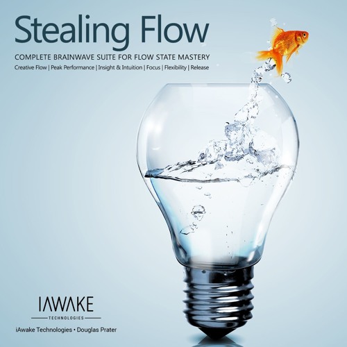Stealing Flow 5 Minutes Demo