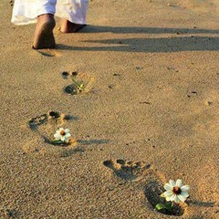 اصـــدق مع الله يصـــدقك- قصــة مــؤثــرة- صالح المغــامســـى