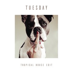 Burak Yeter - Tuesday ft. Danelle Sandoval (NIIAX Tropical House Edit)