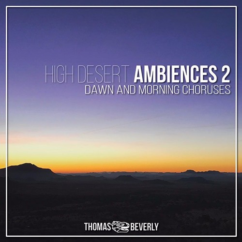 Wide Open Country_Cattle Ranch with Distant Songbirds_Raven Flyby