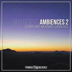 Close Songbirds_Woodpecker Pecking_Distant Hawk Cries