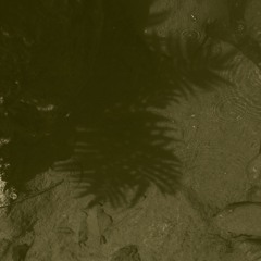 Let There Just Be Fluxes (Intro)