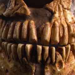 Fossil Finds Could Mean A Wider ‘Cradle Of Humanity’