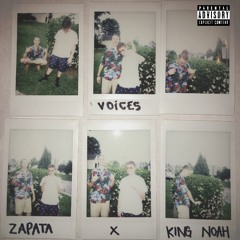 Voices ft. EMILIO ZAPATA (Prod.MexikoDro)