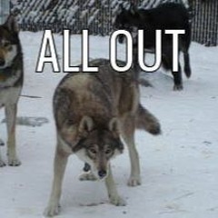 ALL OUT Ft. Troopy Jay