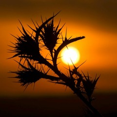 Transcendent -  A Deep Techno Mix