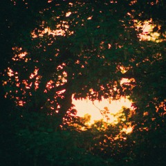 serene
