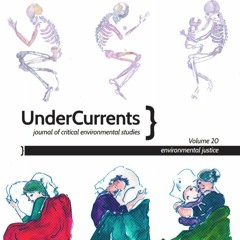 Lot Eight / Lote Ocho