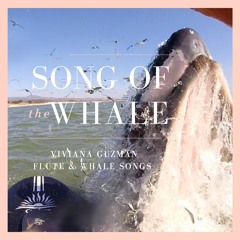 Viviana Guzman Song Of The Whale