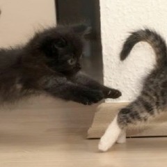 Fatherless Child - Superfidie (IsLanD Remix)