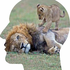 wake the lion