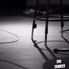 The Tribees ft. Livestring "All Along The Watchtower Pt. 1"