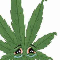 M.J.B. (ft. M+N, WyLeZ, & B#)