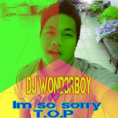 I'm so sorry by T.O.P ft Djwonderboy reggae remix✌