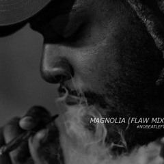 Kevin Parx  - Magnolia [FLAW MIX]